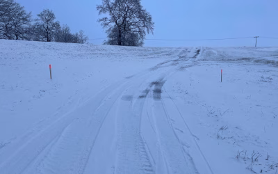 Die Ruhe vor dem Sturm?