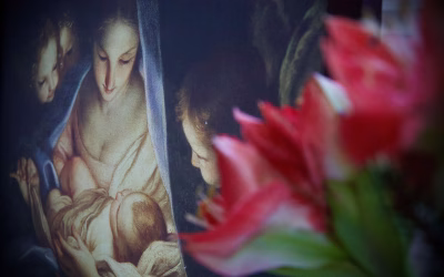 Nadelt ihr Baum noch oder brannte er schon?