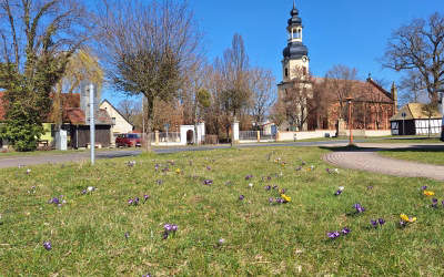 Frühlingserwachen in Wartenburg